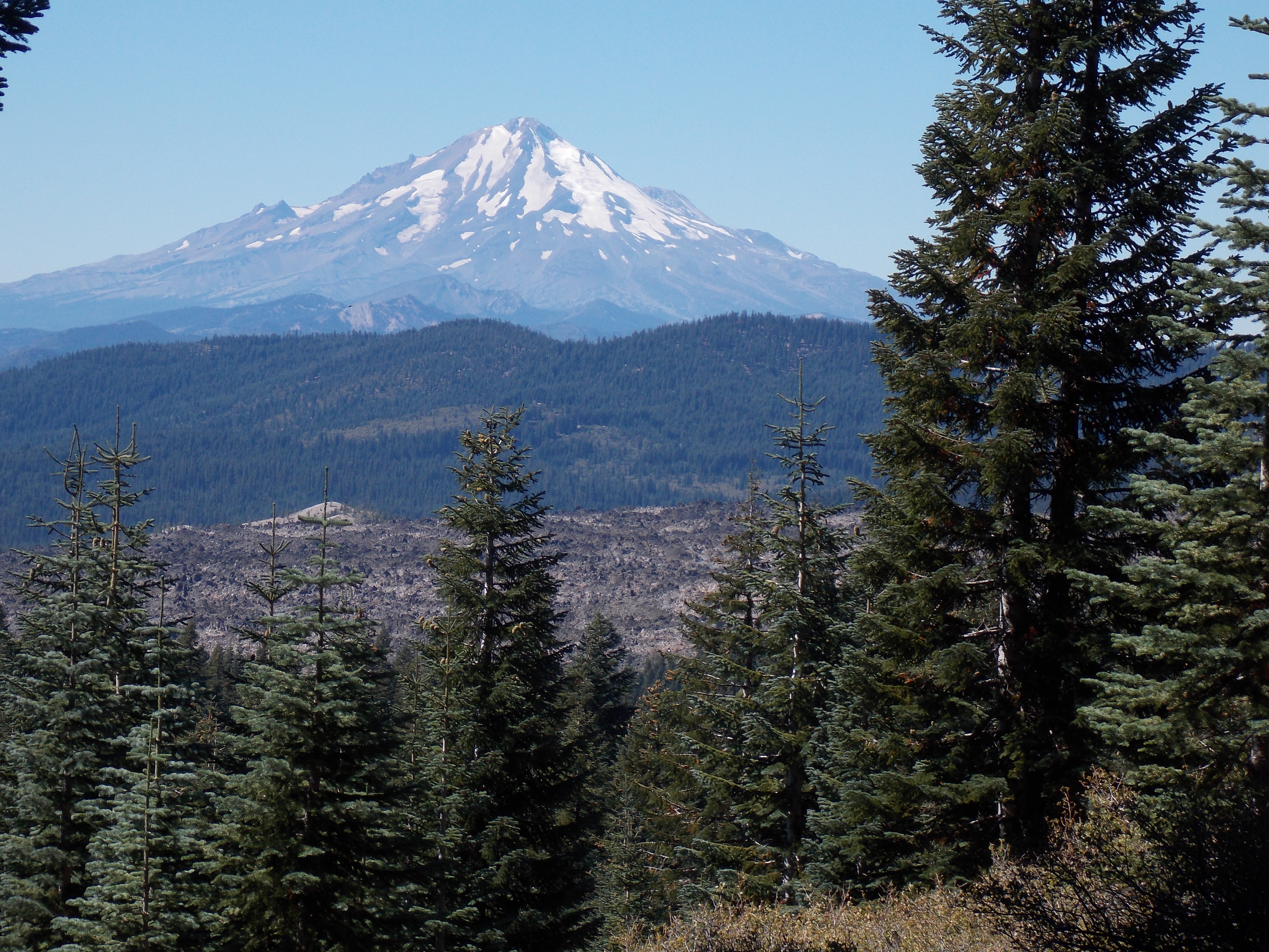 Mount Shasta by Julie Cassidy FS